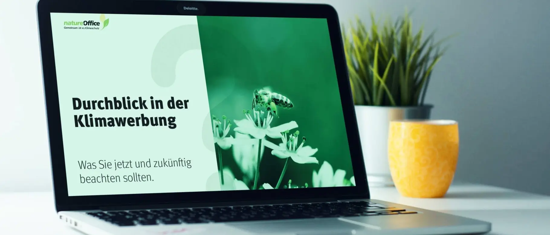 Bild_durchblick-Klimawerbung.jpg