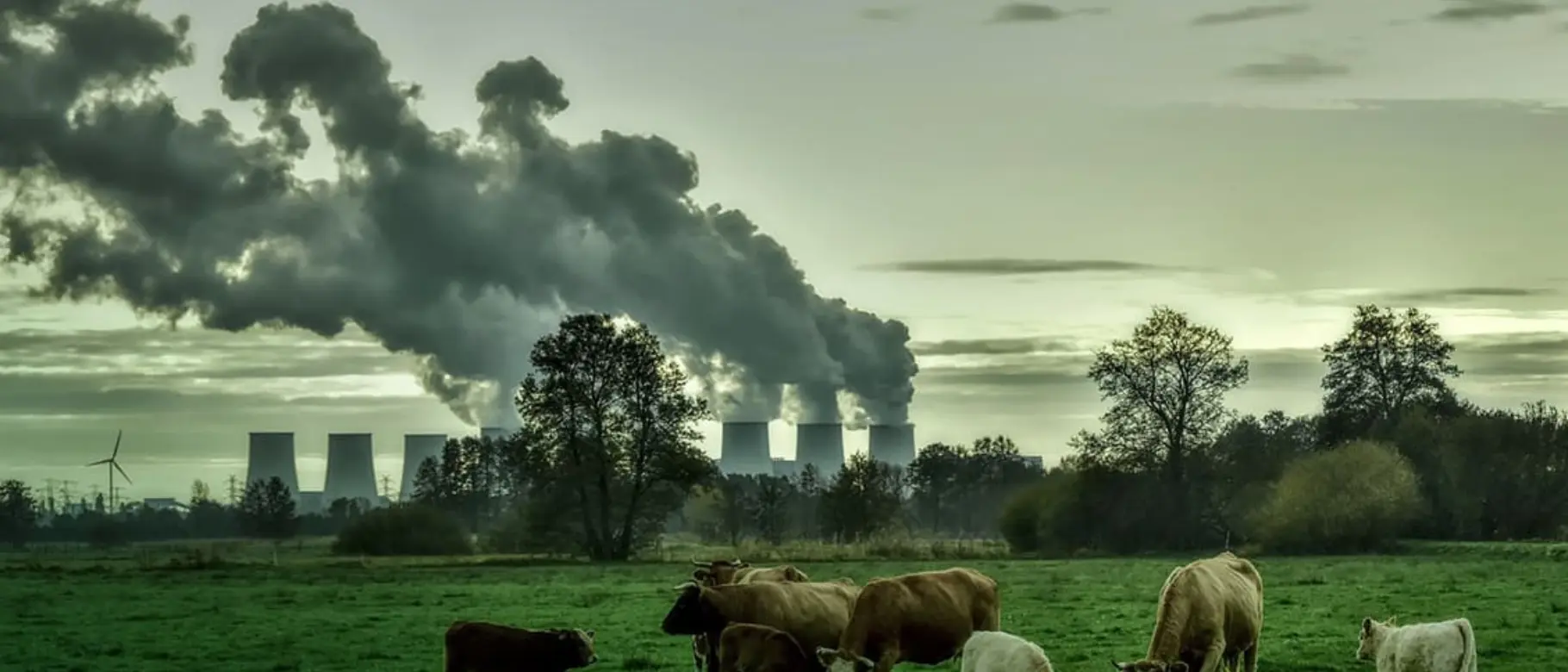 ArticleTeaser_CO2-Zertifikat.jpg