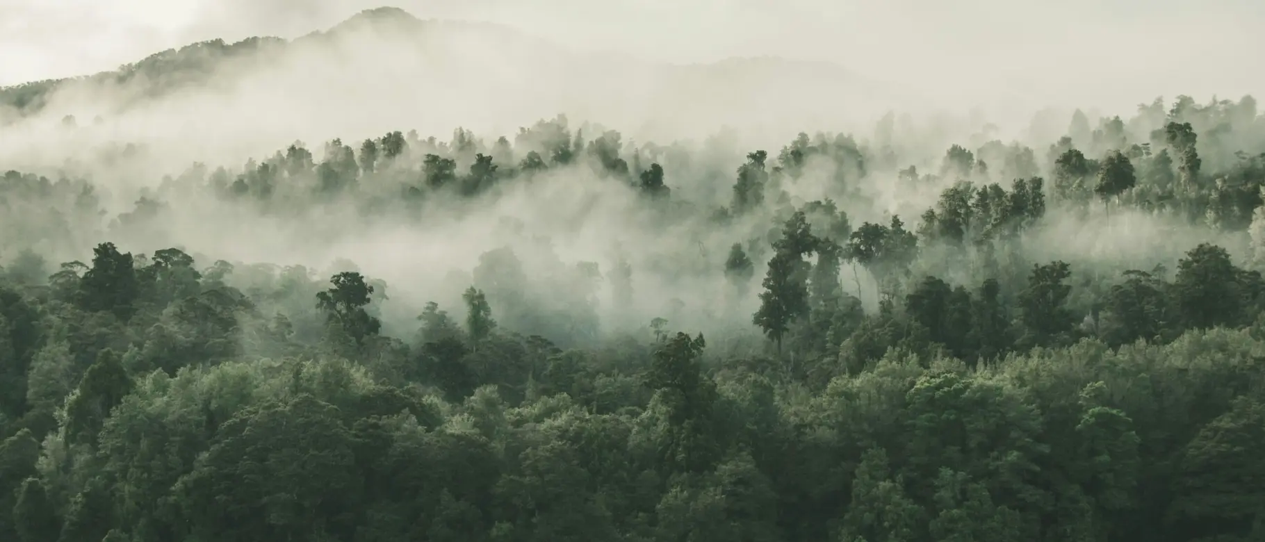 tobias-tullius-RhjVGxILcqE-unsplash-scaled.jpg