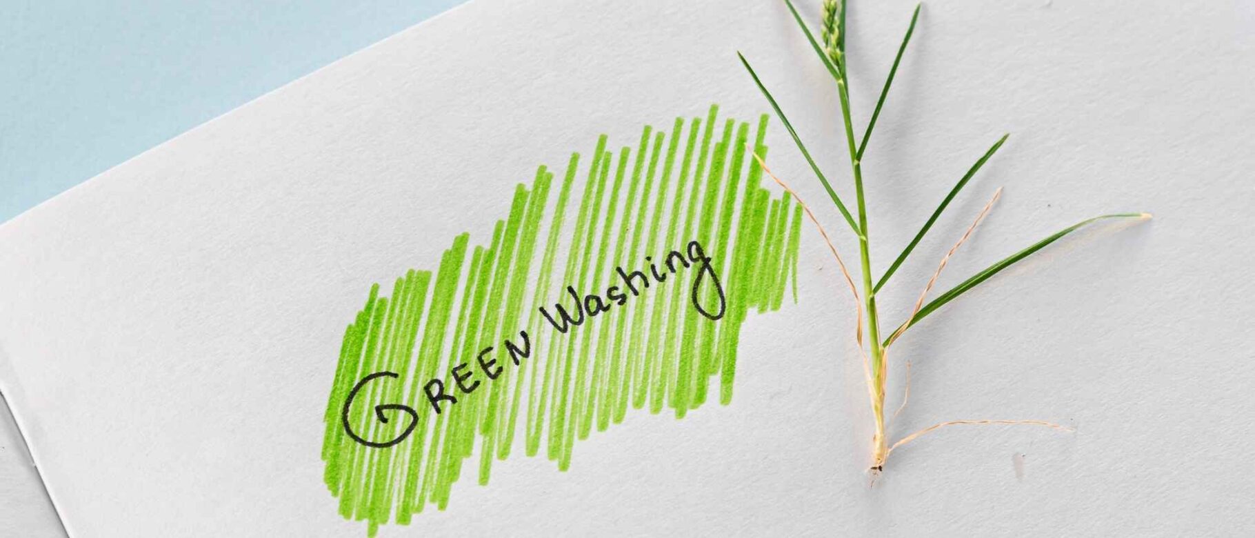 greenwashing-grashalm-symbolbild.jpg