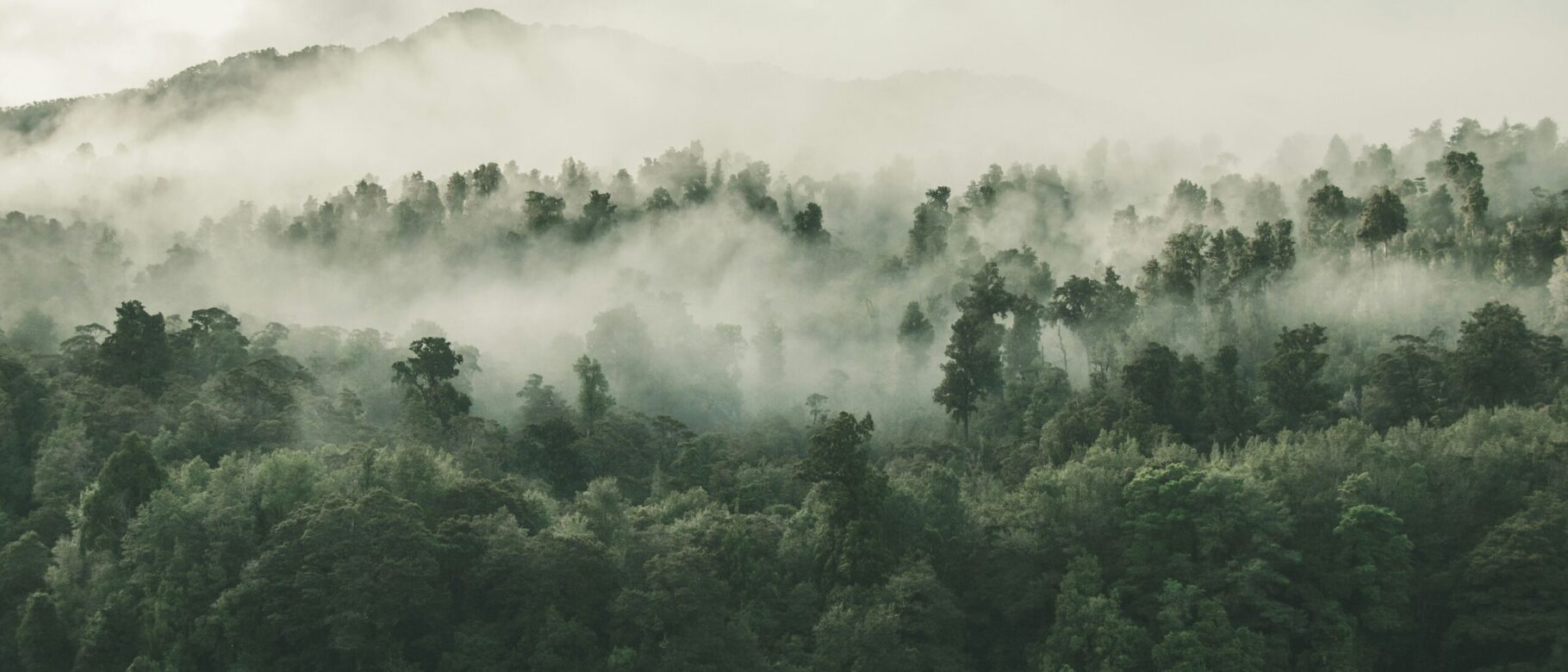 tobias-tullius-RhjVGxILcqE-unsplash-scaled.jpg