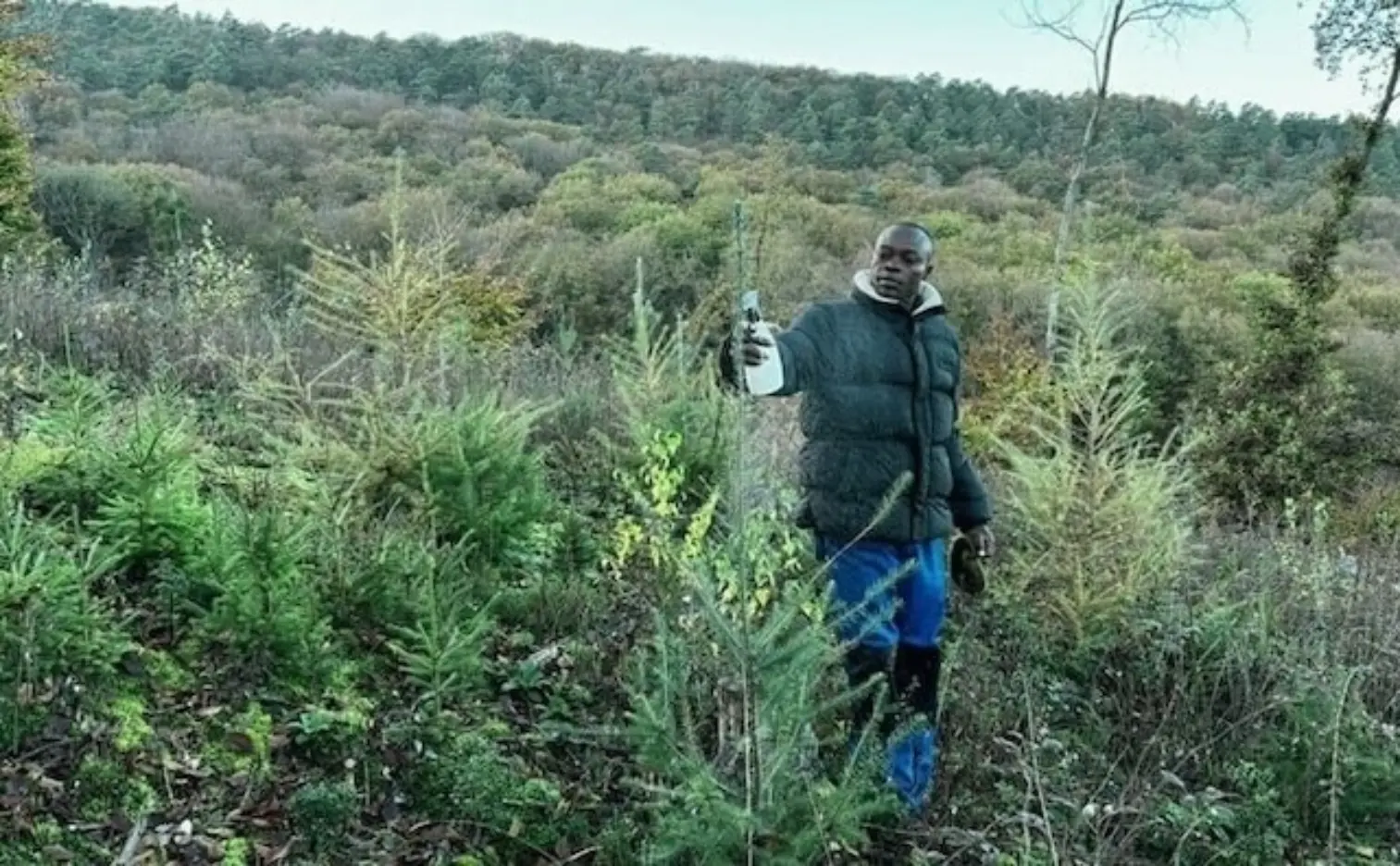Mann der am Baum mit Verbisschutz steht