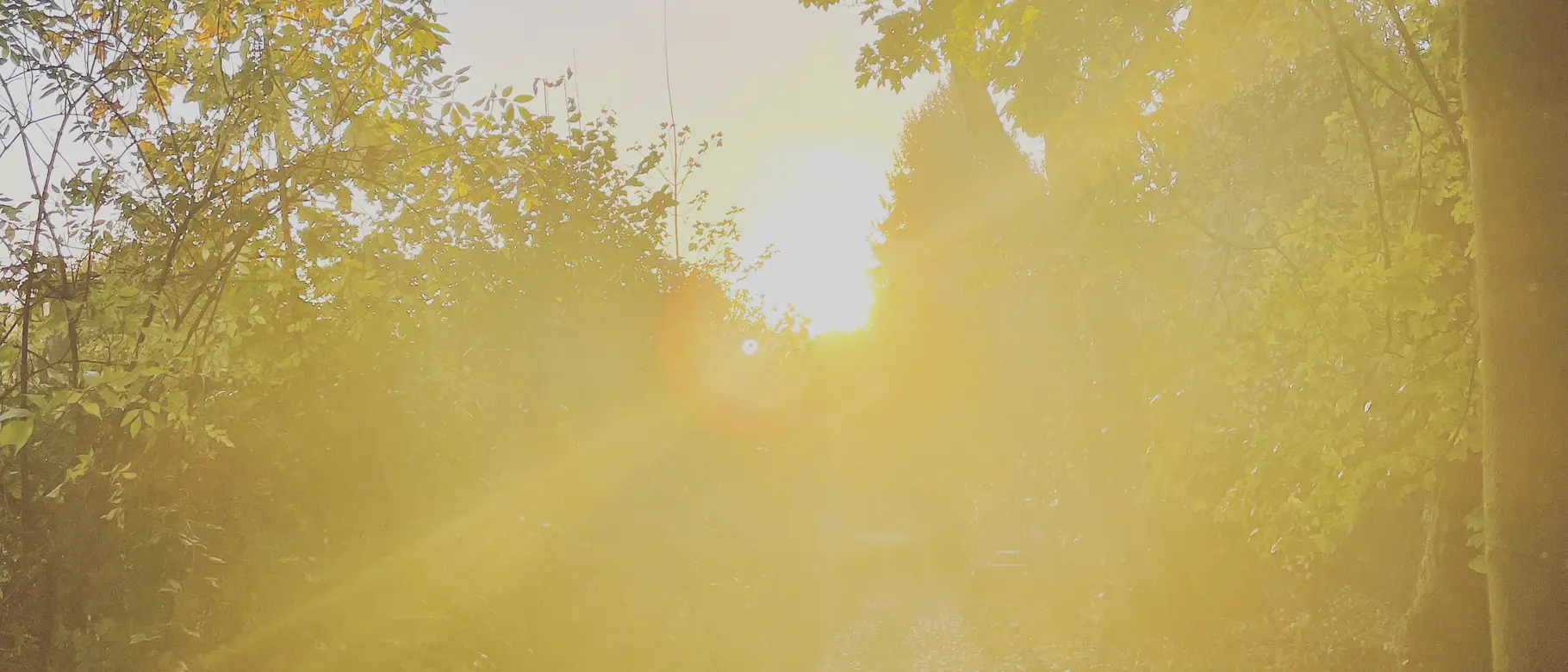 Abstrakte, leicht verschwommene Abendsonne am Horizont als Symbolbild für die strategische Orientierung und die brennenden Fragen von Unternehmen Anfang 2026.