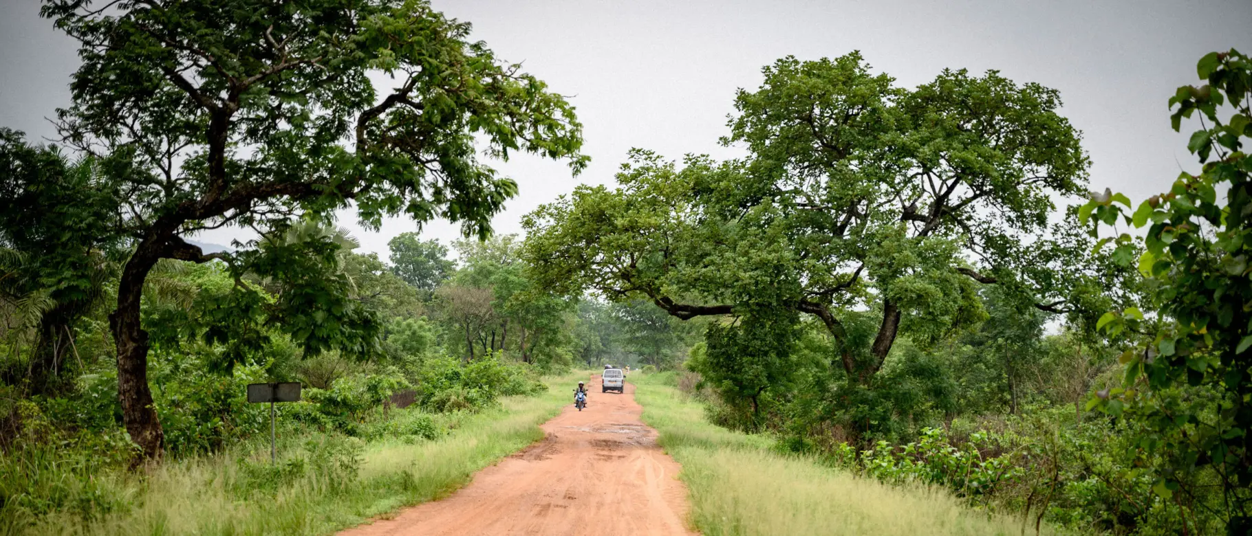 Straße Afrika Bäume