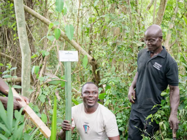 Baum pflanzen projekt mitarbeiter afrika