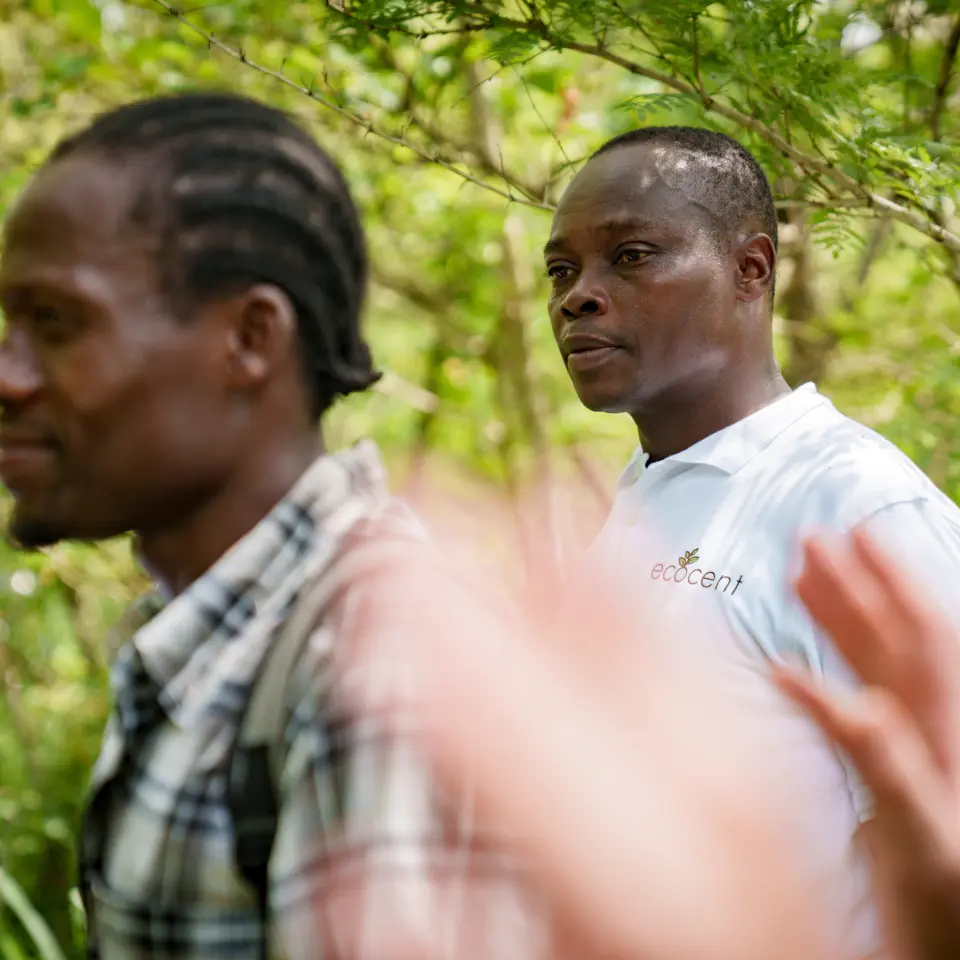 Der lokale Förster von PROJECT TOGO führt Gäste über die aktiven Aufforstungsflächen: Monitoring und Vor-Ort-Besuch zur Überprüfung der Naturwald-Entwicklung.