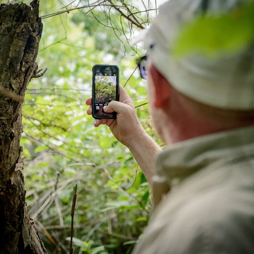 Ein unabhängiger Auditor bei der Überprüfung der Bauminventur im PROJECT TOGO: Vor-Ort-Verifizierung der CO₂-Speicherung und Forstwirtschaft für maximale Transparenz.