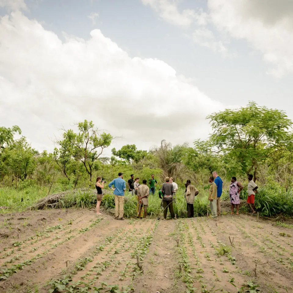 Menschen pflanzen Bäume im Rahmen eines Klimaschutzprojekts zum CO₂-Ausgleich