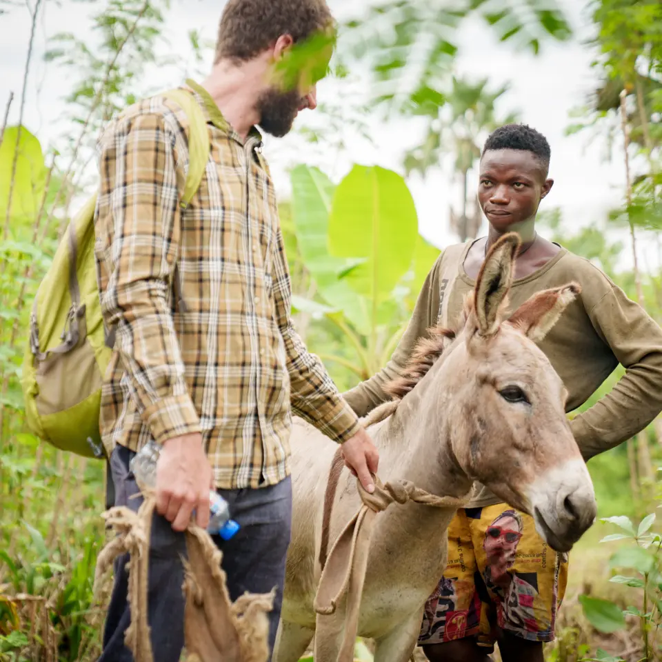 Unterschied zwischen klassischer CO₂-Kompensation und dem modernen Klimaschutzbeitrag (Contribution Claim) für Unternehmen. Zwei Mitarbeiter in der Naturwaldaufforstung und ein Esel.