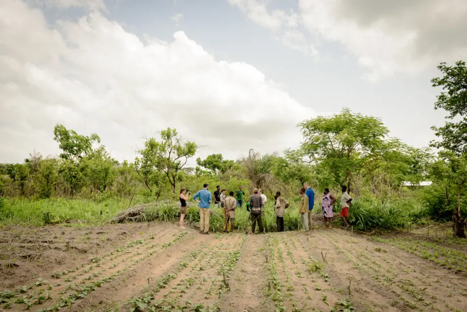 Menschen pflanzen Bäume im Rahmen eines Klimaschutzprojekts zum CO₂-Ausgleich