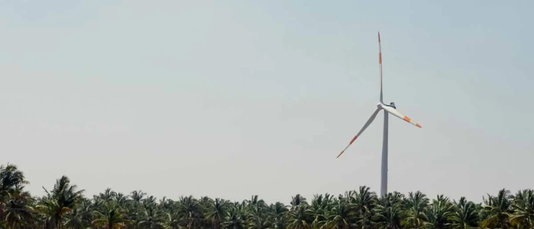 Windkraft-Rajasthan_Bild_4.jpg