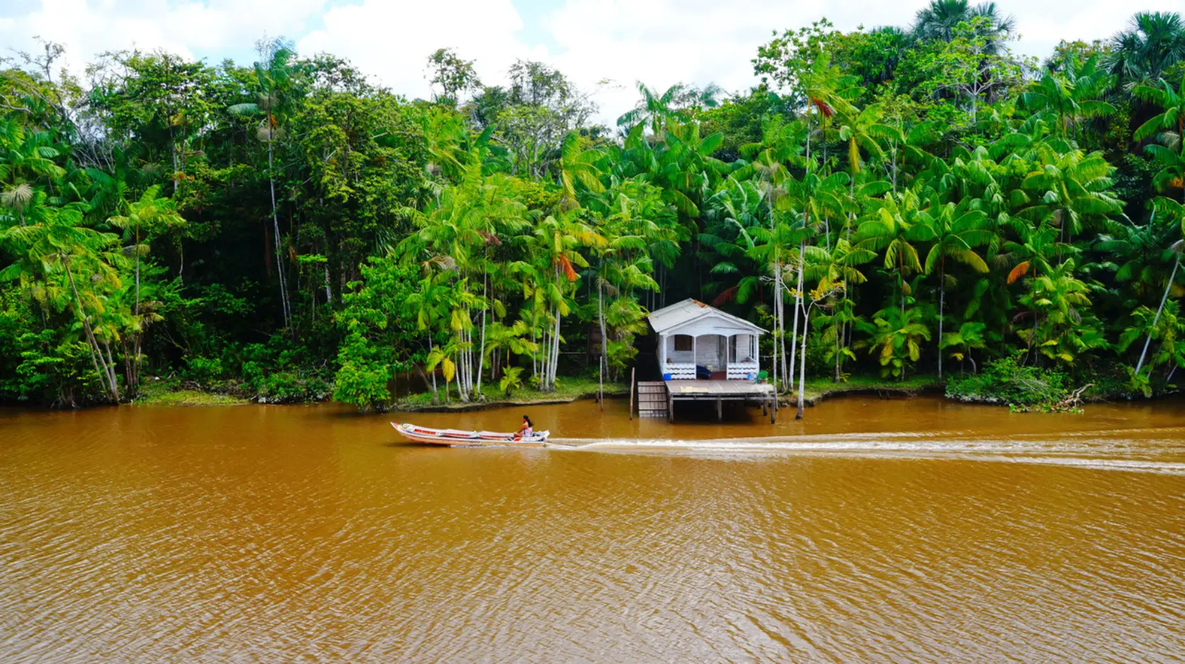 amazonas_1_sh_1205987695.jpeg