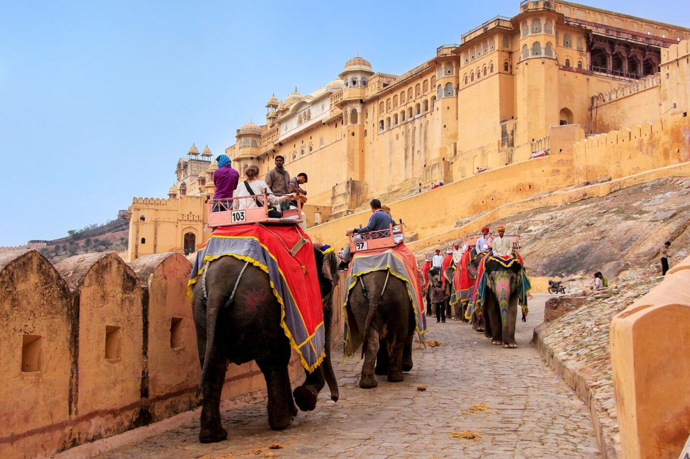 Indien-Elefant.jpeg
