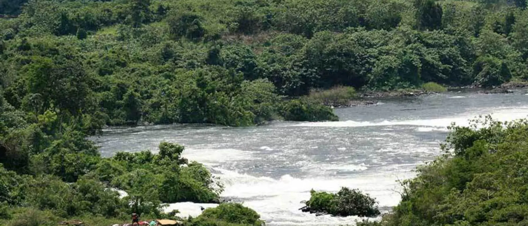 Großer Fluss in grüner Landschaft