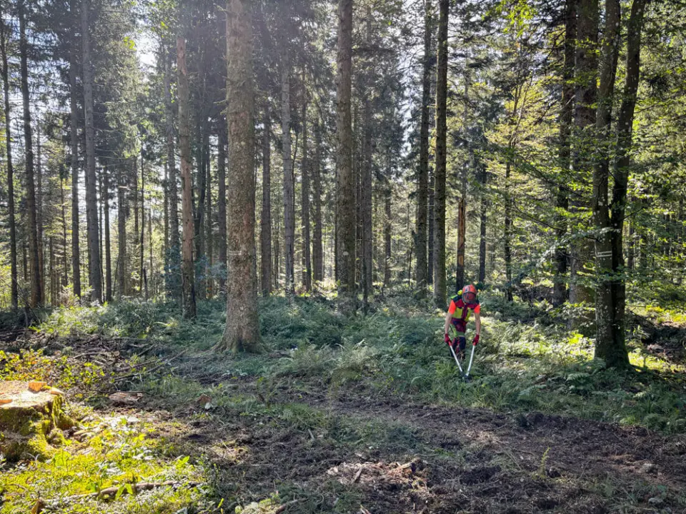 Forstarbeiter der im Wald arbeitet.