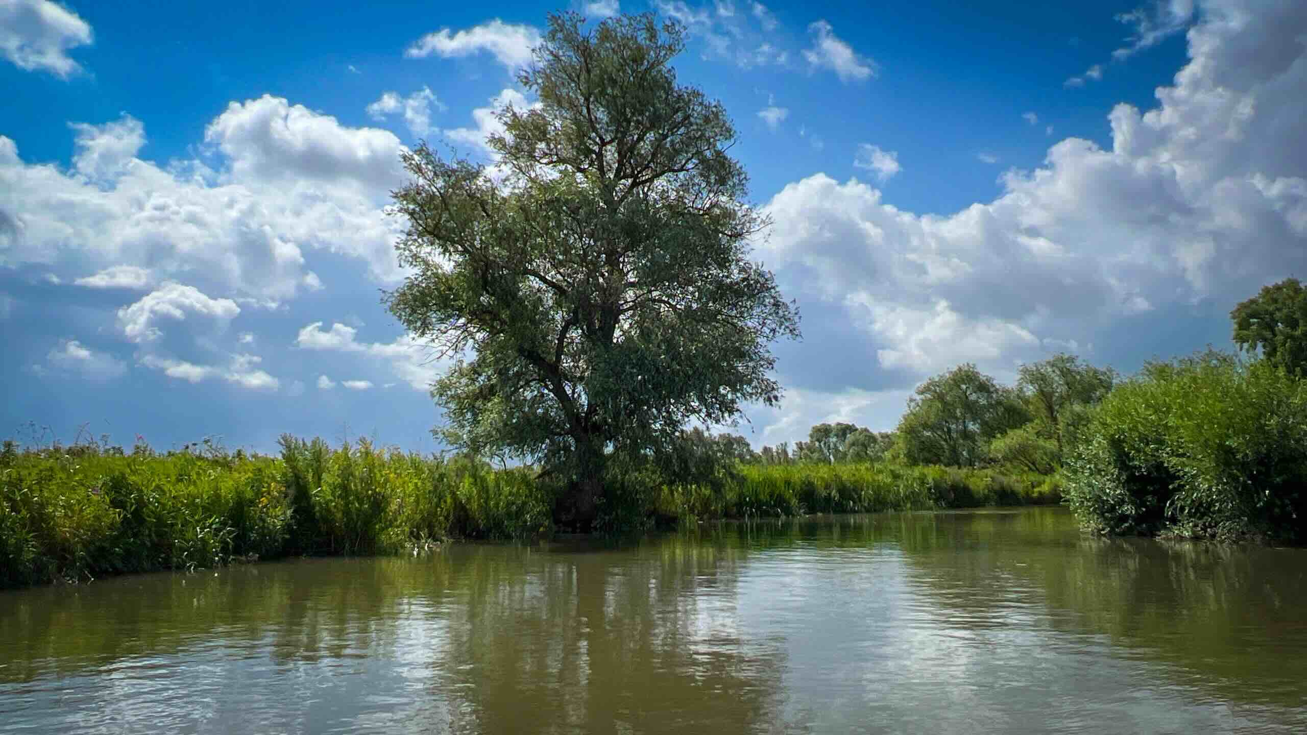 Klimaschutzprojekt Nederland Plus Fluss